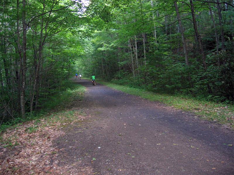 downhill-2.jpg - Beautiful Trees.  We Must return in October