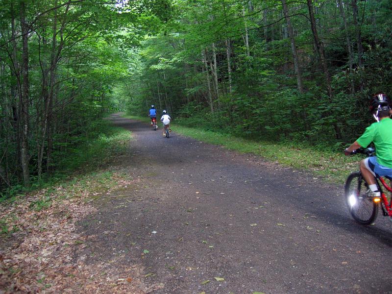 downhill-3.jpg - Most of the trail looks like this